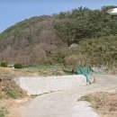 내서읍136 이미지