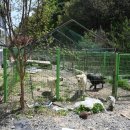 멍데이즈 이미지