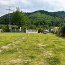 헬로우댕댕 이미지