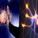 미소를만드는치과교정과치과의원 | 부산시 해운대구 치아교정 치과 잘하는 곳 전문 치과 추천 | 가격 | 비용