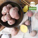 삼촌유통 이미지