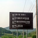 청룡사보각국사정혜원융탑화장실 | 충주 청룡사지터( 보각국사탑 사자석등 보각국사탑비석) - 충북충주여행