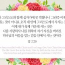 서연도시락 이미지