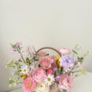 설레화