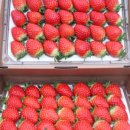 기덕농장 이미지