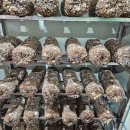 상천농장 이미지