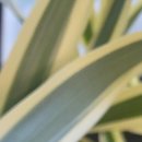 용인우리내과의원 이미지