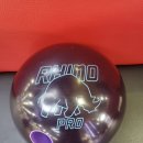 퍼플라이노 이미지