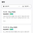지니독 이미지