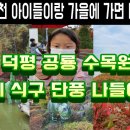 덕평공룡수목원 이미지