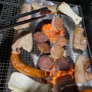 제부도 힐링펜션 티스토리