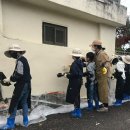 월등초등학교 이미지