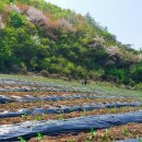 사내농장 이미지