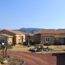 딸부잣집 펜션 이미지