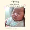 피에이치31(PH31) | [육아일기] 생후 31~49일 성장일기, 교정일 1일, 아주...젖병(닥터브라운,모윰,앙뽀) 및 노시부 사용 후기
