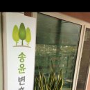 송윤