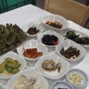 한국관가든 | 문경세재 목련가든 내돈내산 솔직 후기