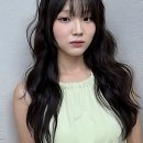 청산동물병원 | 미용실 유목민 생활 청산합니다! 찐후기 드릉드릉 가져왔어요