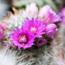 대신행정사 이미지