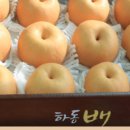 대남농원 이미지