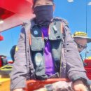 킹콩낚시 이미지