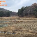 영천리마을회관 이미지