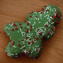 콧대높은 개 이미지