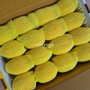 한진2농장 이미지