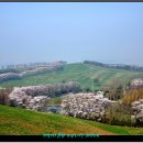 운산목장 이미지