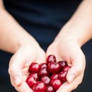 바른길 행정사사무소 이미지