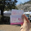 까브드뱅 | 2026 서울 워커힐 와인페어 구름위의 산책 | 4월 12일 1부 방문 후기