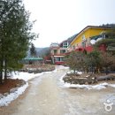 수림 펜션 이미지