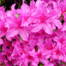 대구교육정보원 이미지