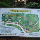 고래불쉼터 이미지