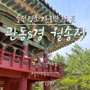 울진소나무 | 울진 관동팔경 월송정ㅣ소나무숲 따라 걷는 힐링 산책 코스 울진 가볼만한 곳