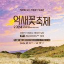 억새2축구장 이미지