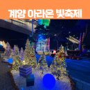 영호대교 북단 아래 | 인천 가볼만한 곳 추천 계양 아라온 빛축제 크리스마스 페스타