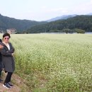 소래목장 이미지