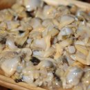 오늘의 바다 이미지