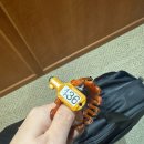 에덴벨리 | 양산 에덴벨리CC 첫 가을라운딩 후기(백돌이)