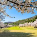 TOP CLASS PC CAFE(탑클래스) 이미지