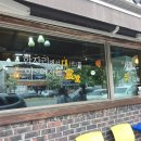 청솔카포스 이미지