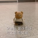 유성대로(유성-35) | 여름아 얼른 가 이제