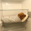 풍년양꼬치마라탕 | 아추워