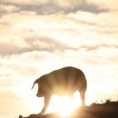 돈다산농장 이미지