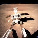 China's Moon mission sees first seeds sprout 이미지