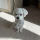 씨에스남산주 | 2020 투자보고서 및 자기소개