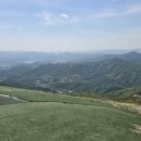 양평 산나물 채취 유명산.패러글라이딩 활공장 산행 후기(블랙야크 100대 명산 유명산)