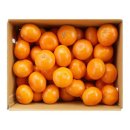 불로초교 이미지