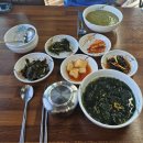 제주도 식당 후기